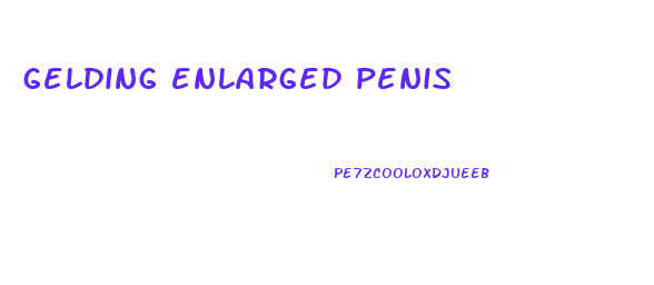 gelding enlarged penis