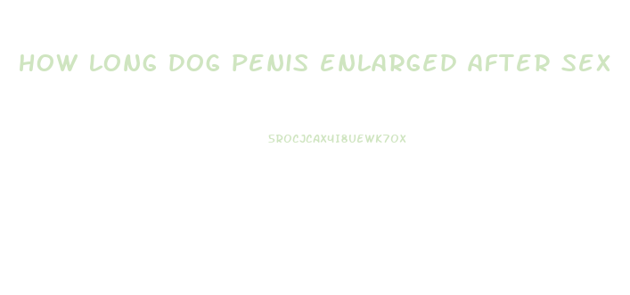 how long dog penis enlarged after sex