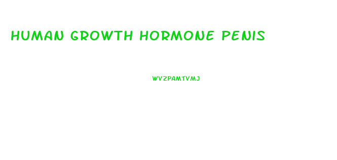 human growth hormone penis