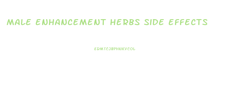 male enhancement herbs side effects