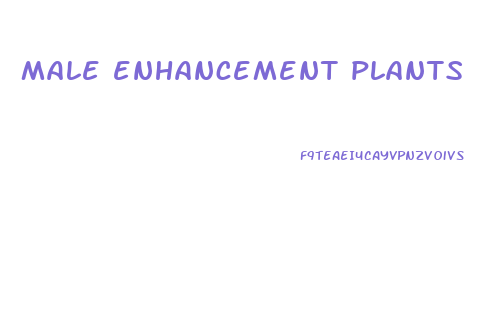 male enhancement plants