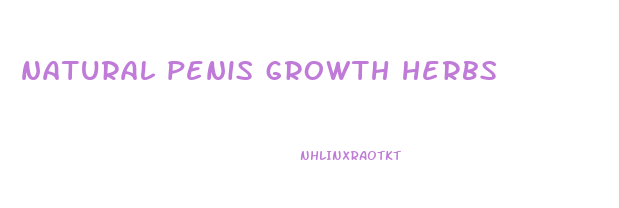 natural penis growth herbs