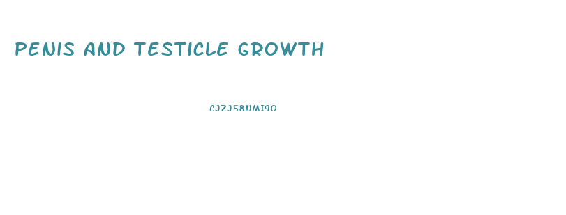 penis and testicle growth