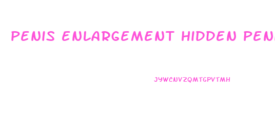 penis enlargement hidden penis