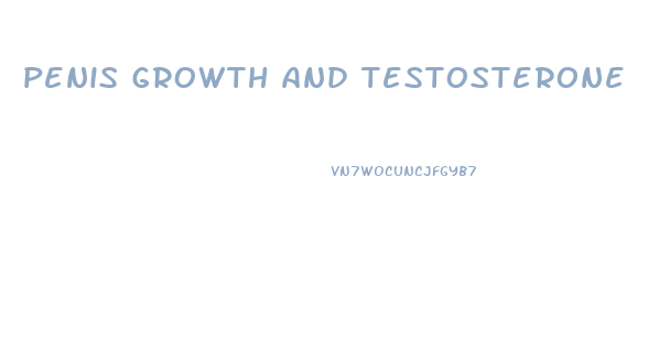 penis growth and testosterone