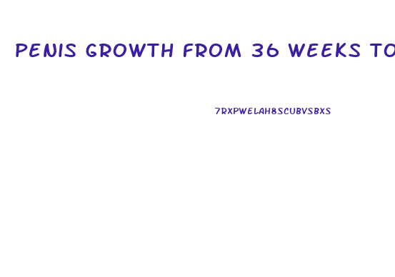 penis growth from 36 weeks to 37 weeks