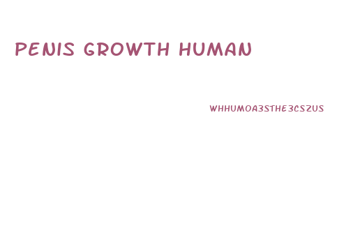 penis growth human