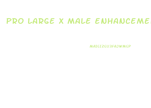 pro large x male enhancement