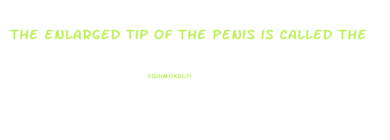 the enlarged tip of the penis is called the 