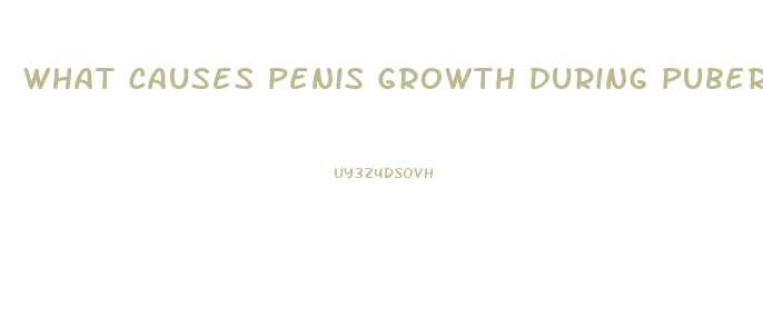 what causes penis growth during puberty