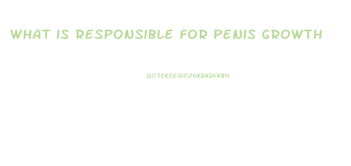 what is responsible for penis growth