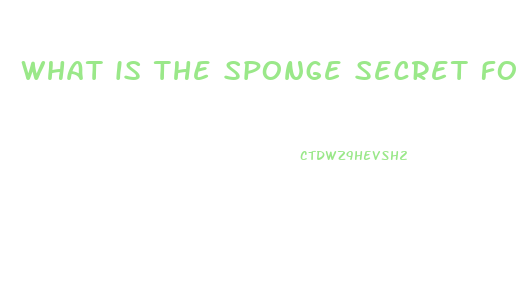 what is the sponge secret for male enhancement