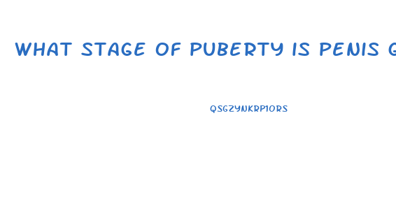 what stage of puberty is penis growth