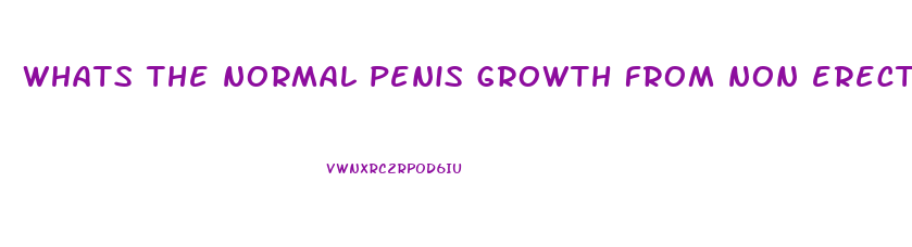 whats the normal penis growth from non erect
