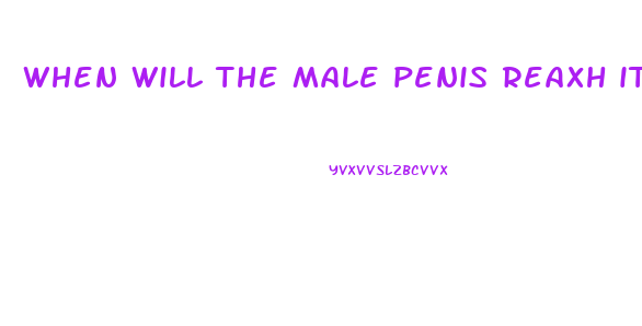 when will the male penis reaxh its full growth