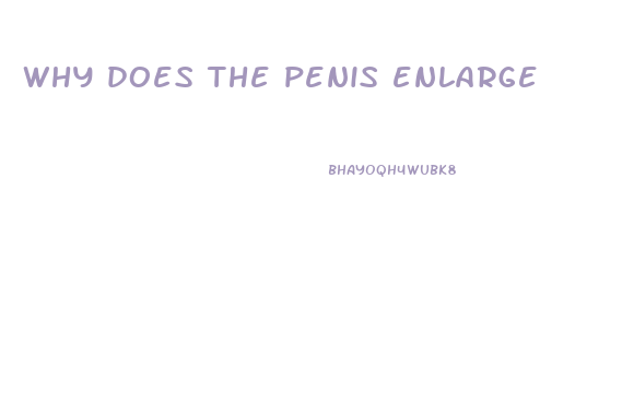 why does the penis enlarge