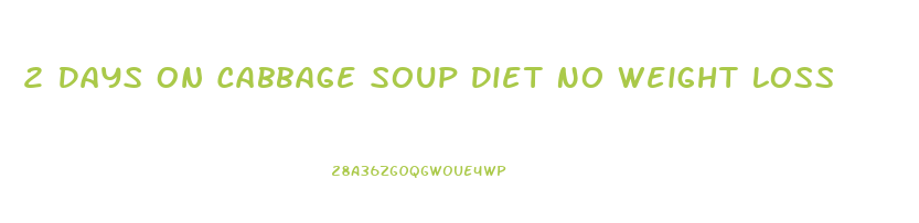 2 Days On Cabbage Soup Diet No Weight Loss