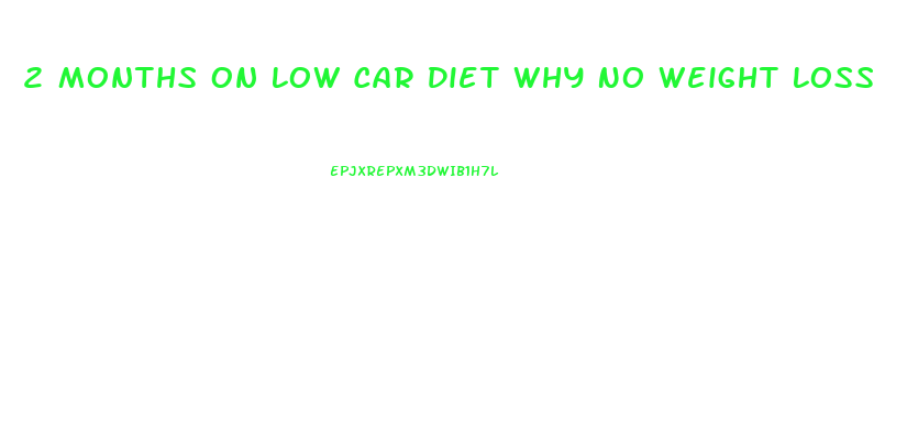 2 Months On Low Car Diet Why No Weight Loss