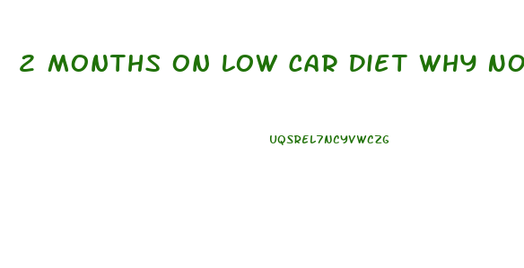 2 Months On Low Car Diet Why No Weight Loss