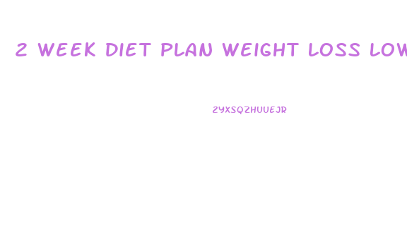 2 Week Diet Plan Weight Loss Low Calorie Foods