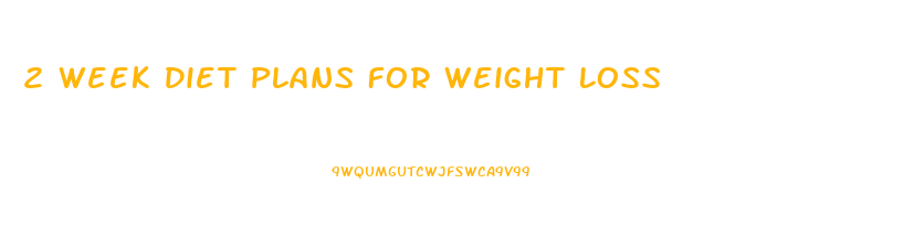 2 Week Diet Plans For Weight Loss