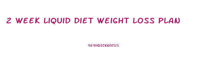 2 Week Liquid Diet Weight Loss Plan