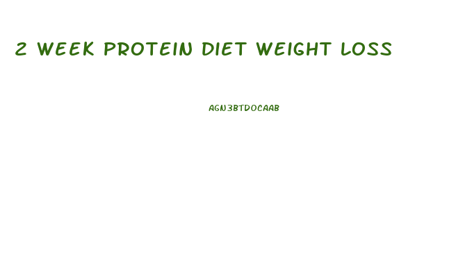 2 Week Protein Diet Weight Loss