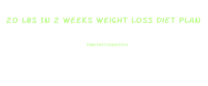 20 Lbs In 2 Weeks Weight Loss Diet Plan