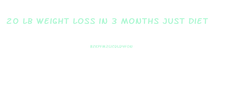 20 lb weight loss in 3 months just diet