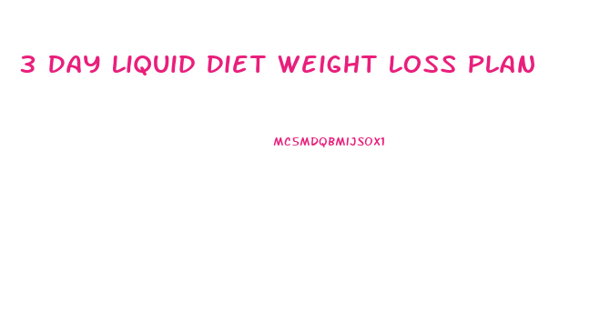 3 Day Liquid Diet Weight Loss Plan