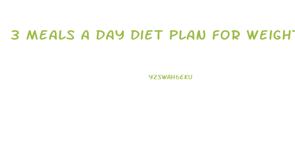 3 Meals A Day Diet Plan For Weight Loss