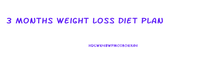 3 Months Weight Loss Diet Plan