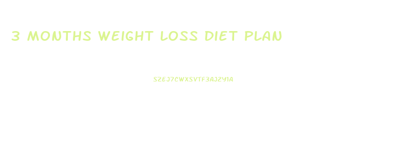 3 Months Weight Loss Diet Plan
