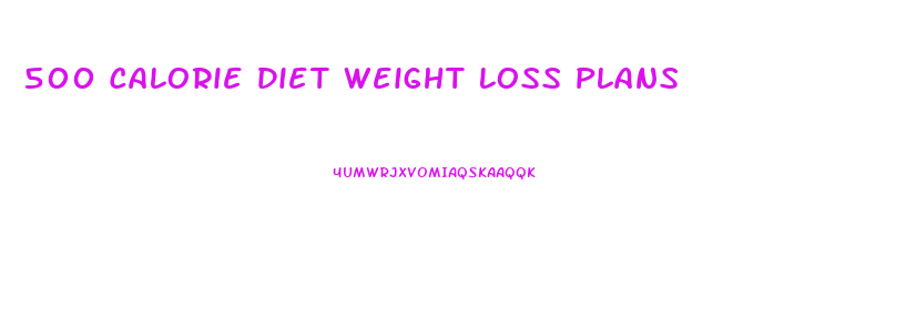 500 Calorie Diet Weight Loss Plans