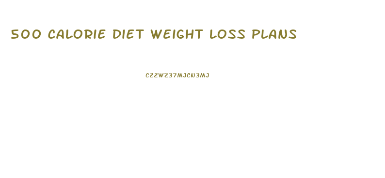 500 Calorie Diet Weight Loss Plans