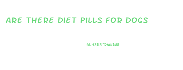 Are There Diet Pills For Dogs