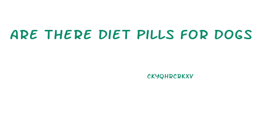 Are There Diet Pills For Dogs