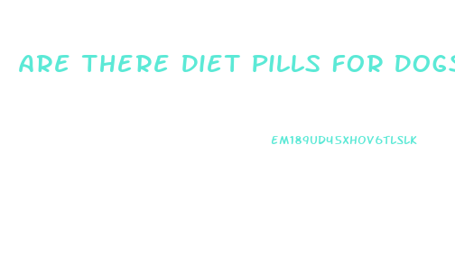 Are There Diet Pills For Dogs