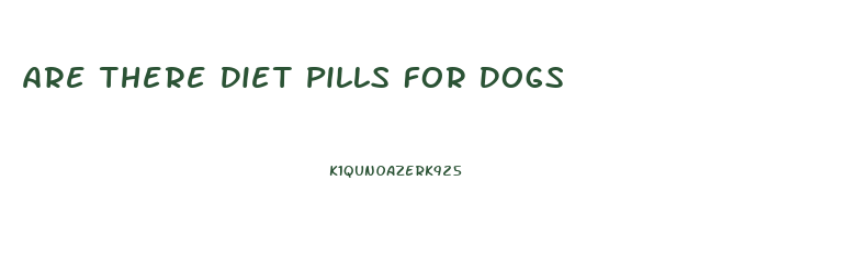 Are There Diet Pills For Dogs