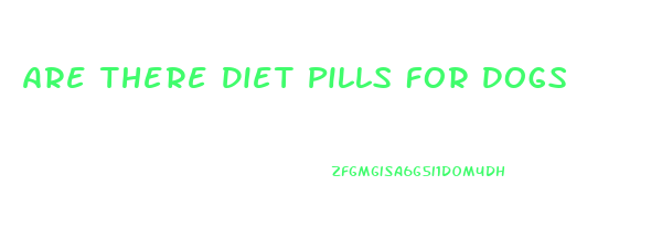 Are There Diet Pills For Dogs