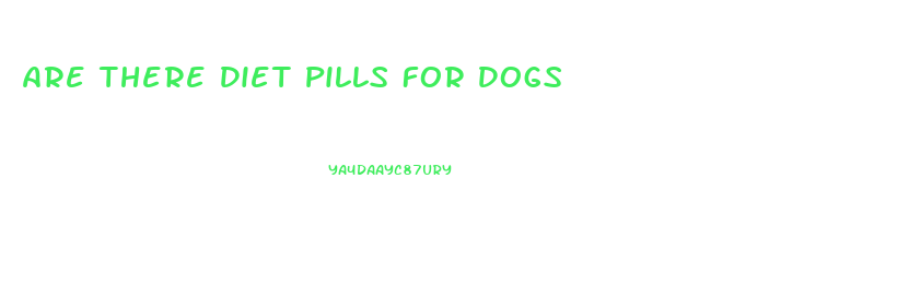 Are There Diet Pills For Dogs