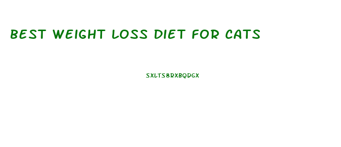 Best Weight Loss Diet For Cats