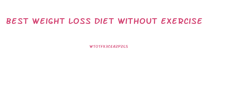 Best Weight Loss Diet Without Exercise