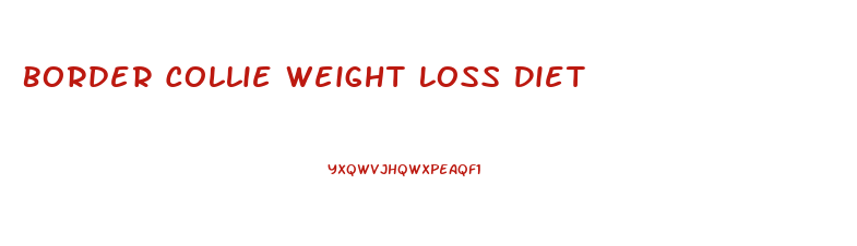 Border Collie Weight Loss Diet
