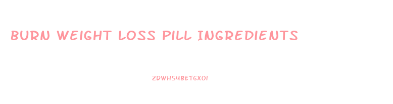 Burn Weight Loss Pill Ingredients