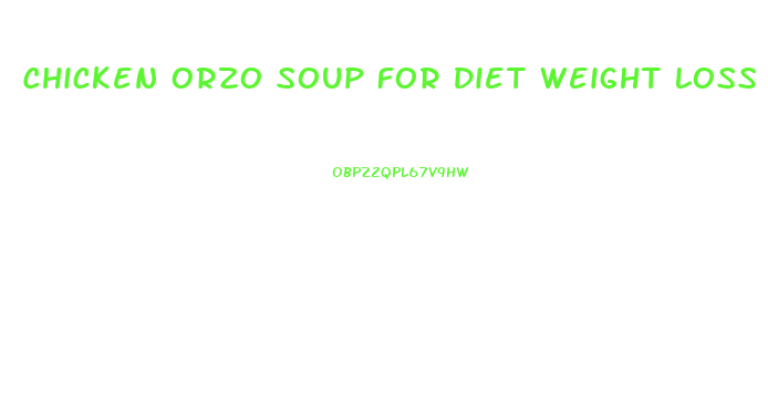 Chicken Orzo Soup For Diet Weight Loss