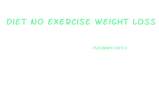 Diet No Exercise Weight Loss