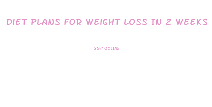 Diet Plans For Weight Loss In 2 Weeks