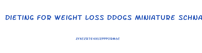 Dieting For Weight Loss Ddogs Miniature Schnauzerss