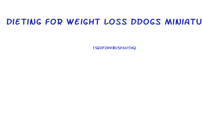 Dieting For Weight Loss Ddogs Miniature Schnauzerss